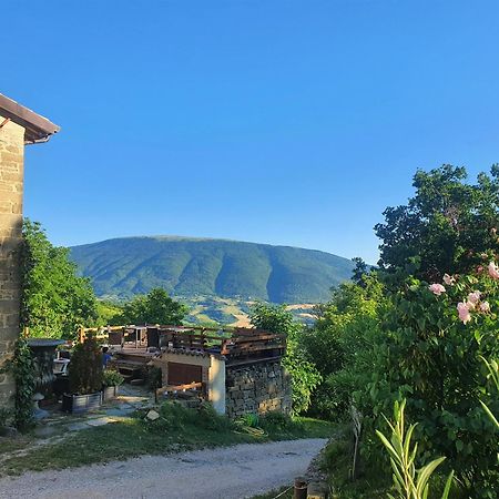 Le Ginestre Guesthouse Ассизи Экстерьер фото